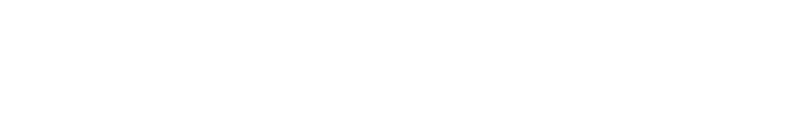 PrometeonDev - Software Development