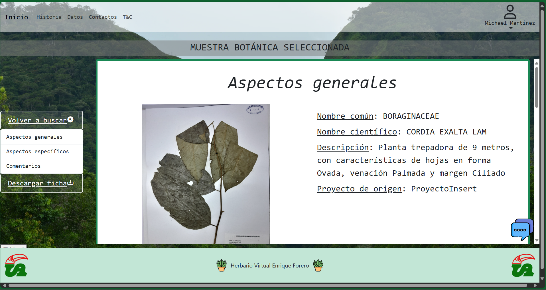 Vista de especie individual Detalle de una muestra botánica individual